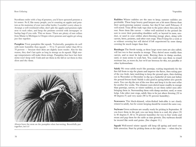 Sample content 3_Root Cellaring