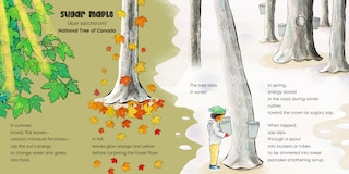 Aper&ccedil;u du contenu_Rooted in Wonder