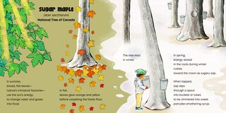 Aper&ccedil;u du contenu 2_Rooted in Wonder