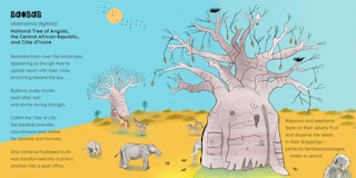 Aper&ccedil;u du contenu 3_Rooted in Wonder