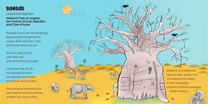 Aper&ccedil;u du contenu 3_Rooted in Wonder