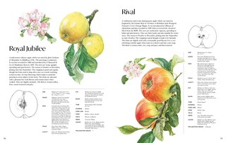 Aper&ccedil;u du contenu_Rosie Sanders' Apples