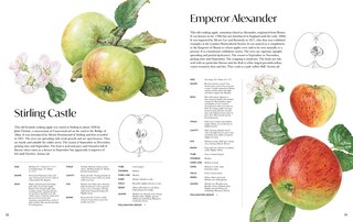 Aper&ccedil;u du contenu 2_Rosie Sanders' Apples