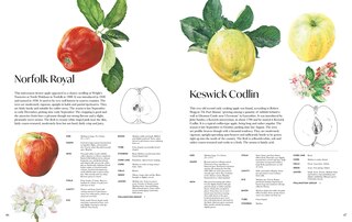 Aper&ccedil;u du contenu 3_Rosie Sanders' Apples