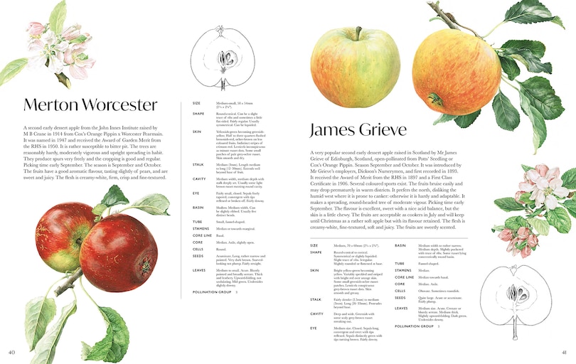 Aper&ccedil;u du contenu 4_Rosie Sanders' Apples