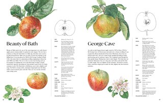 Aper&ccedil;u du contenu 5_Rosie Sanders' Apples