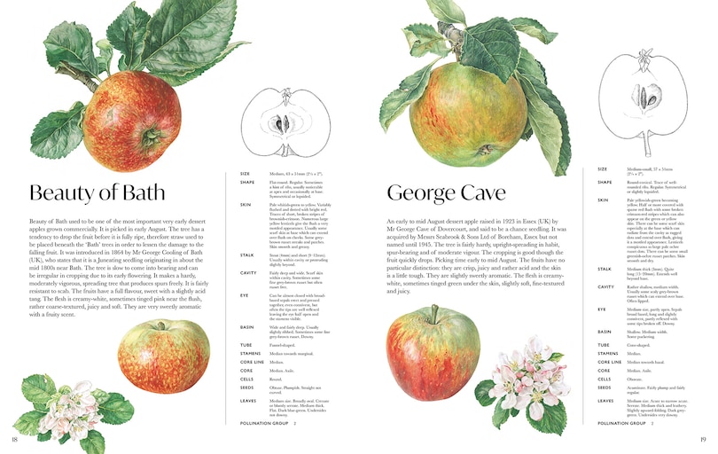 Aper&ccedil;u du contenu 5_Rosie Sanders' Apples