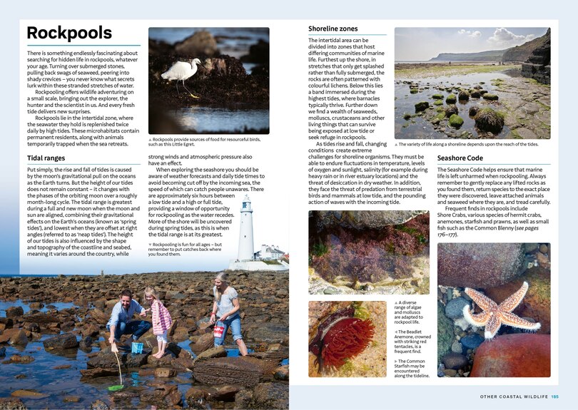 Sample content_RSPB Everyday Guide to British Wildlife