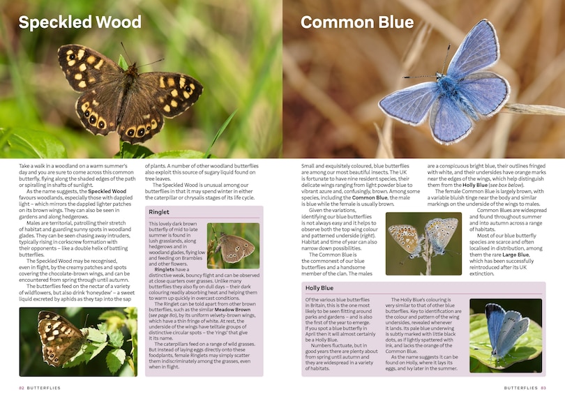 Sample content 4_RSPB Everyday Guide to British Wildlife