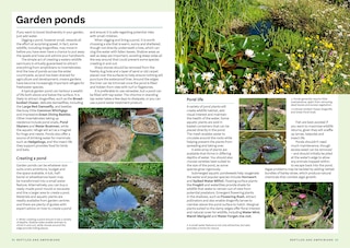Sample content 5_RSPB Everyday Guide to British Wildlife