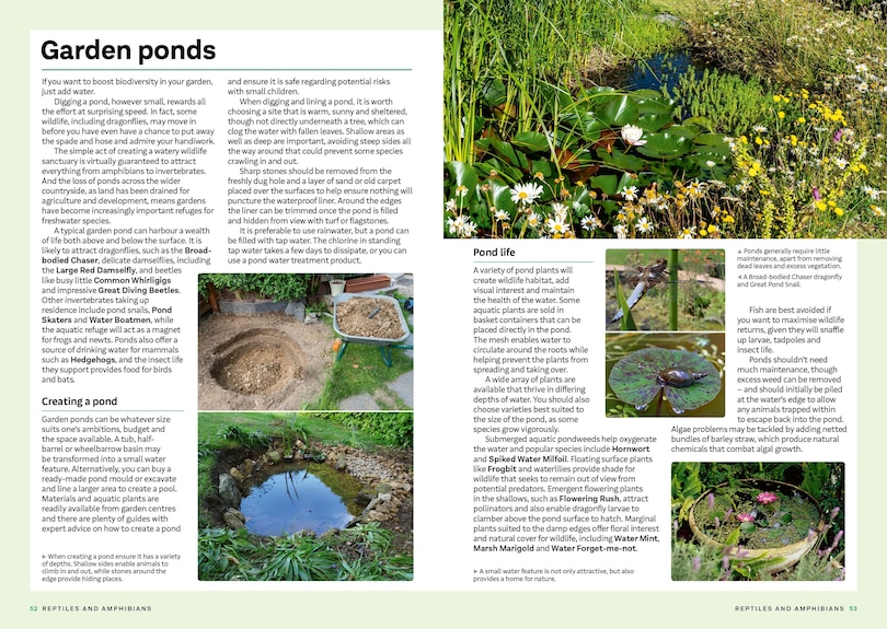 Sample content 5_RSPB Everyday Guide to British Wildlife