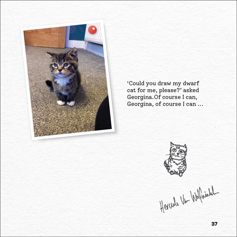 Aper&ccedil;u du contenu_Rubbish Pet Portraits