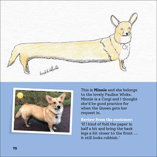 Aper&ccedil;u du contenu 5_Rubbish Pet Portraits