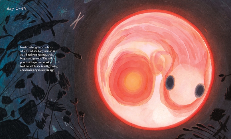 Sample content_Salmon Run