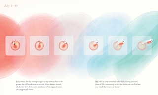 Sample content 2_Salmon Run