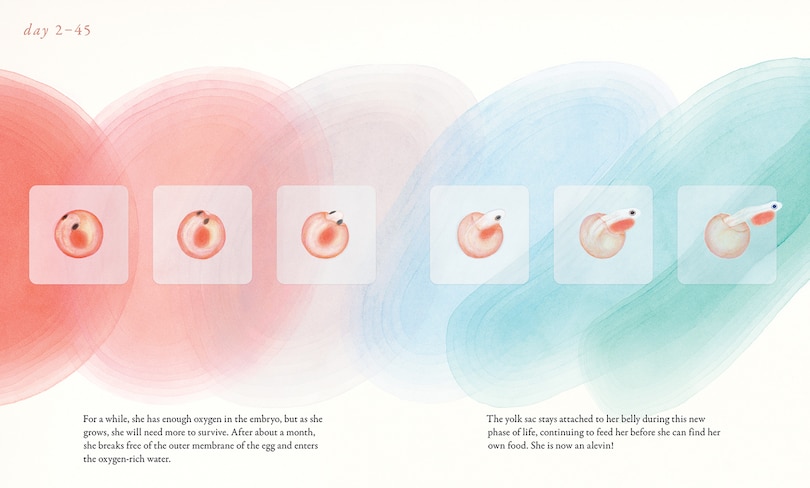 Sample content 2_Salmon Run