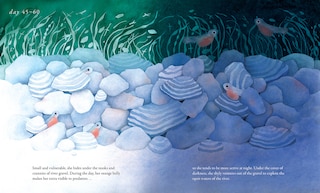 Sample content 3_Salmon Run