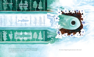 Sample content 4_Salmon Run