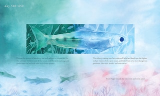 Sample content 5_Salmon Run