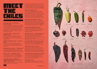 Aperçu du contenu_Salsa Daddy: A Cookbook