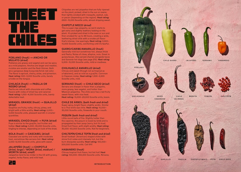 Aperçu du contenu_Salsa Daddy: A Cookbook