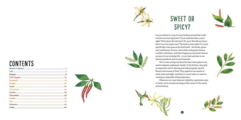Table of contents_Salt, Pepper, Season, Spice