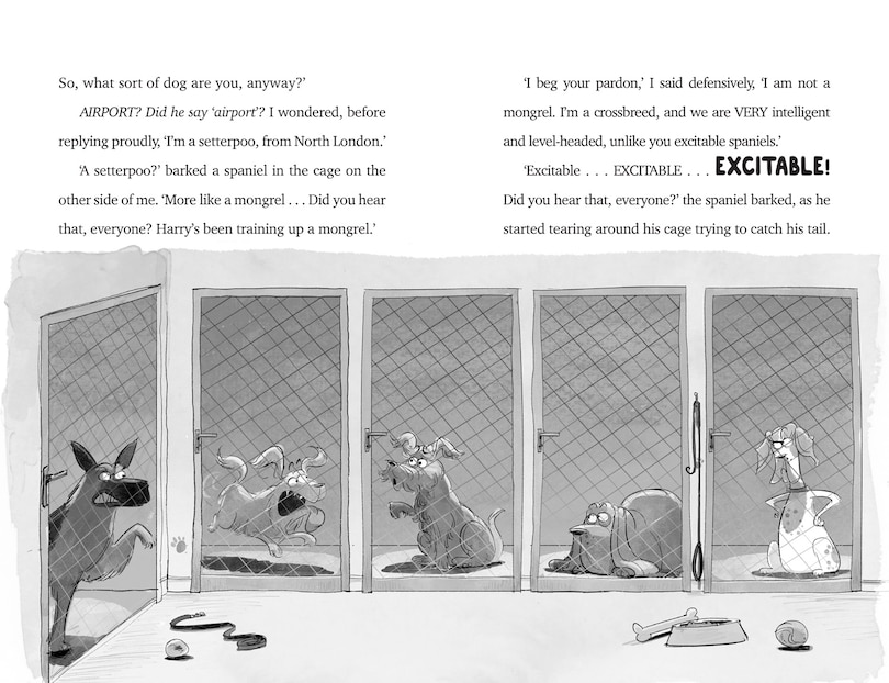 Aper&ccedil;u du contenu_Sammy and the Extra-Hot Chilli Powder