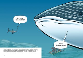 Sample content_Les Requins