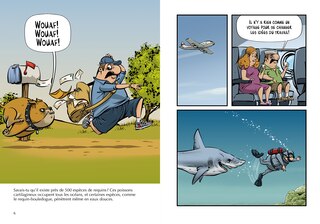 Sample content 2_Les Requins