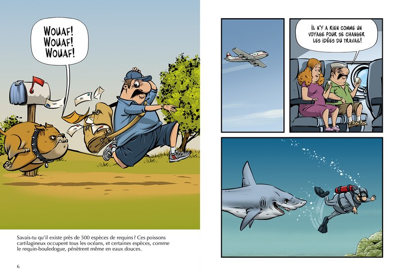 Sample content 2_Les Requins