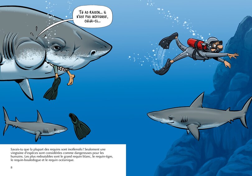 Sample content 3_Les Requins
