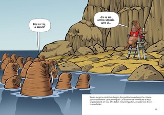 Aper&ccedil;u du contenu 2_Savais-tu? 78 : Les Morses - En couleurs