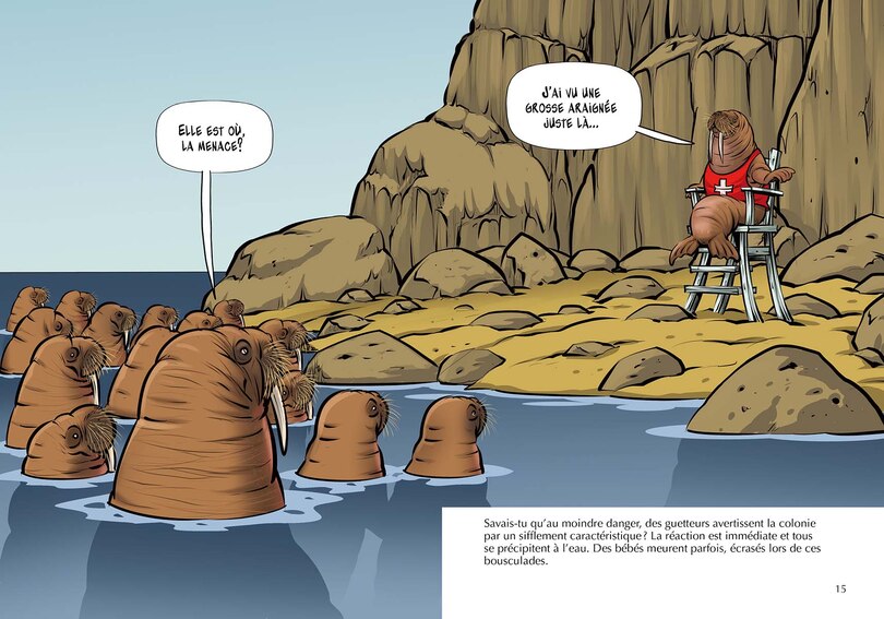 Aper&ccedil;u du contenu 2_Savais-tu? 78 : Les Morses - En couleurs