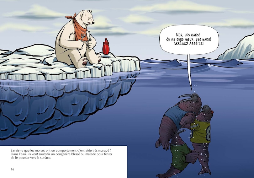 Aper&ccedil;u du contenu 3_Savais-tu? 78 : Les Morses - En couleurs