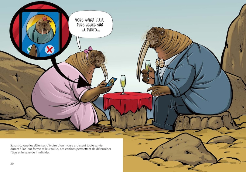 Aper&ccedil;u du contenu 5_Savais-tu? 78 : Les Morses - En couleurs