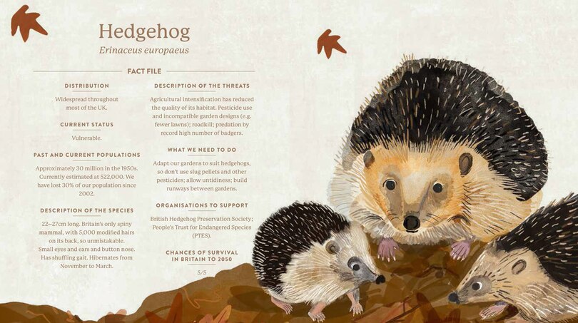 Aper&ccedil;u du contenu 4_Save Our Species