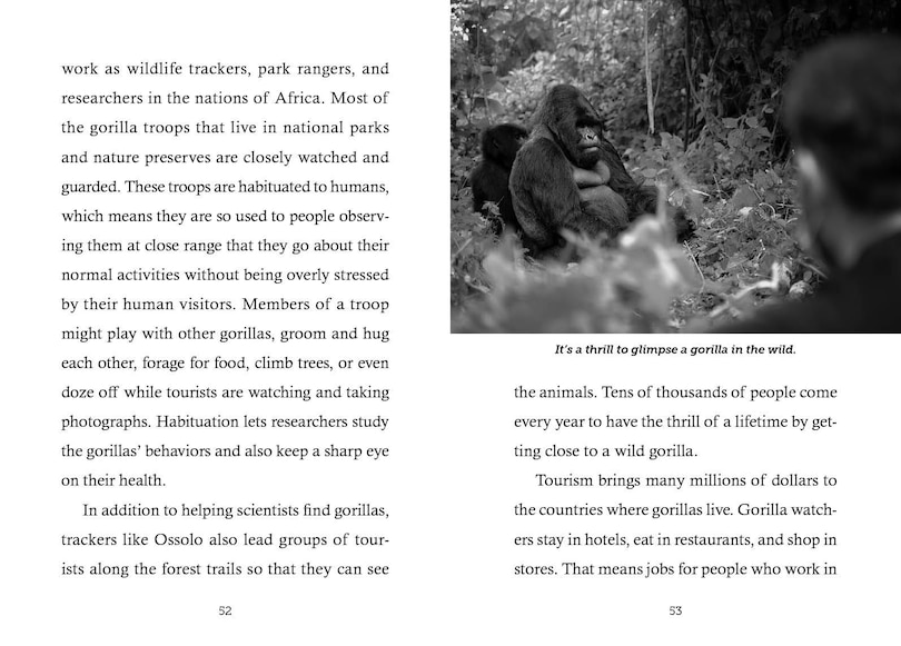 Sample content 2_Save the...Gorillas