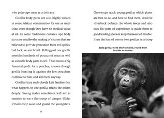 Sample content 3_Save the...Gorillas