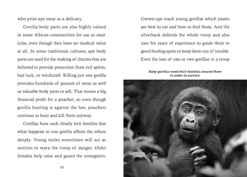 Sample content 3_Save the...Gorillas