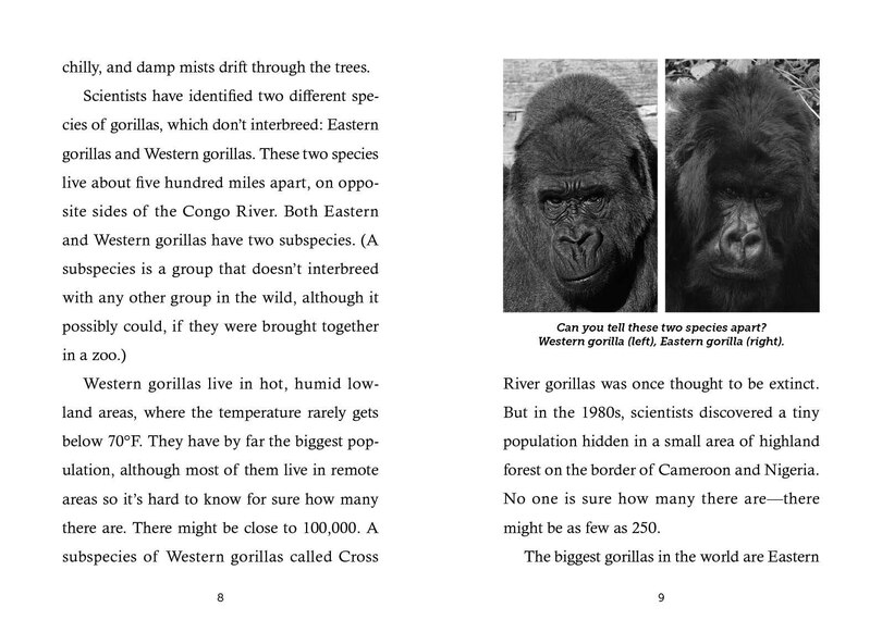 Sample content 4_Save the...Gorillas