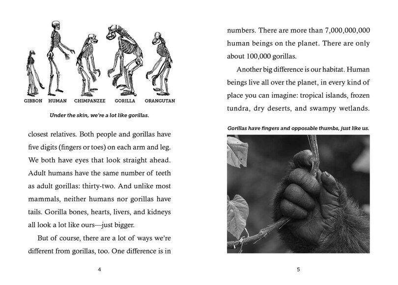 Sample content 5_Save the...Gorillas