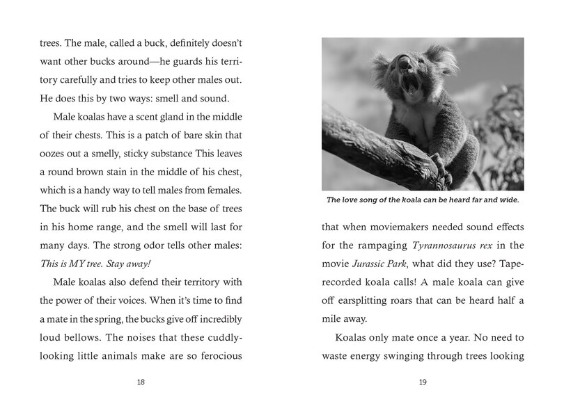 Sample content 2_Save the... Koalas