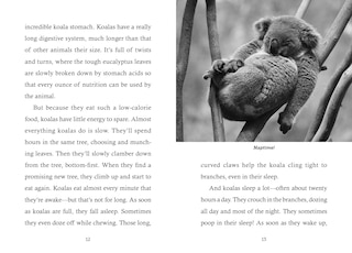 Sample content 3_Save the... Koalas