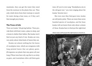 Sample content 4_Save the... Koalas