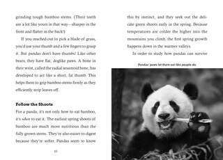 Sample content 4_Save the...Pandas