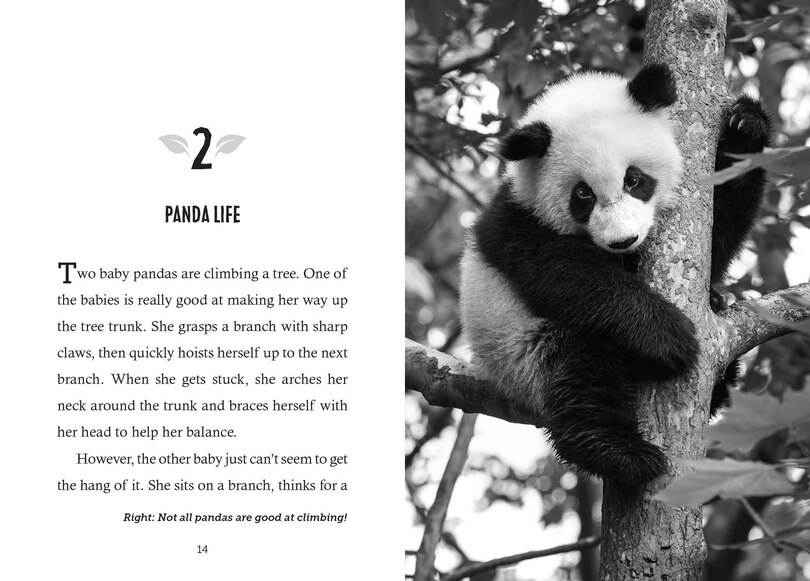 Sample content 5_Save the...Pandas