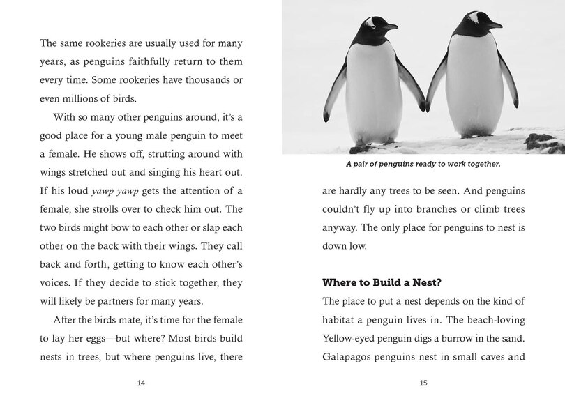 Sample content 2_Save the... Penguins