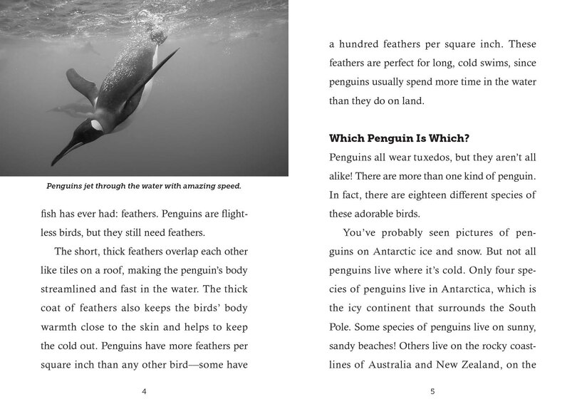 Sample content 5_Save the... Penguins