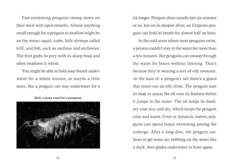 Sample content 2_Save the... Penguins