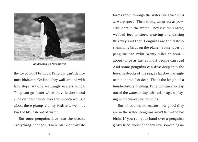 Sample content 5_Save the... Penguins